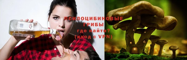 эйфоретик Вязьма
