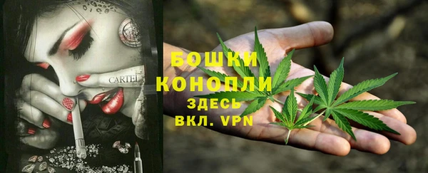 эйфоретик Вязьма